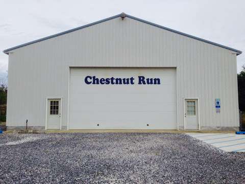 Chestnut Run Excavating and Tree Service Chestnut Run Excavating and Tree Service